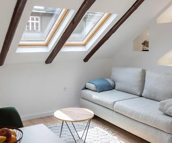 Modern Loft With Gallery In City Center