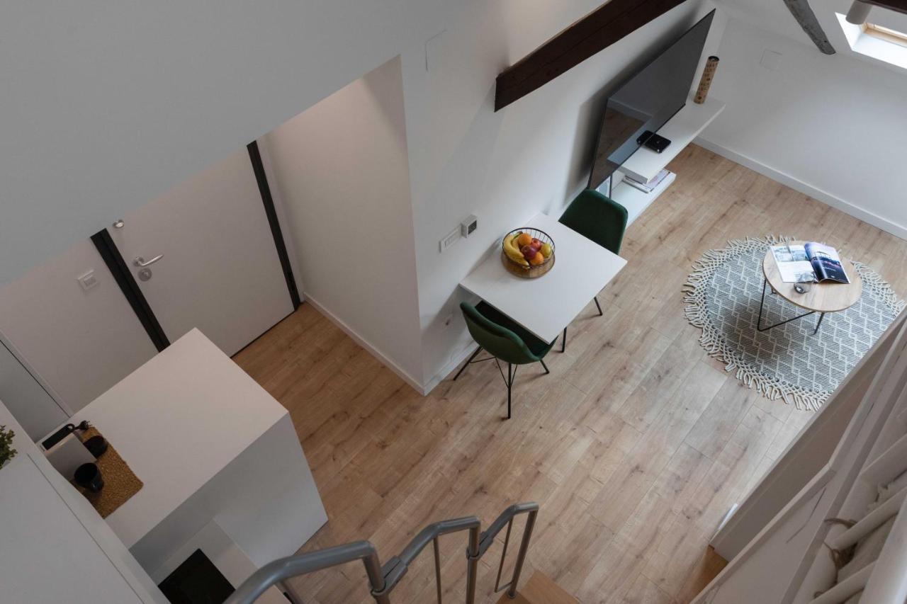 Modern Loft With Gallery In Center Apartment