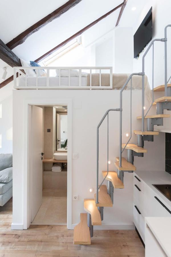 Modern Loft With Gallery In Center Apartment